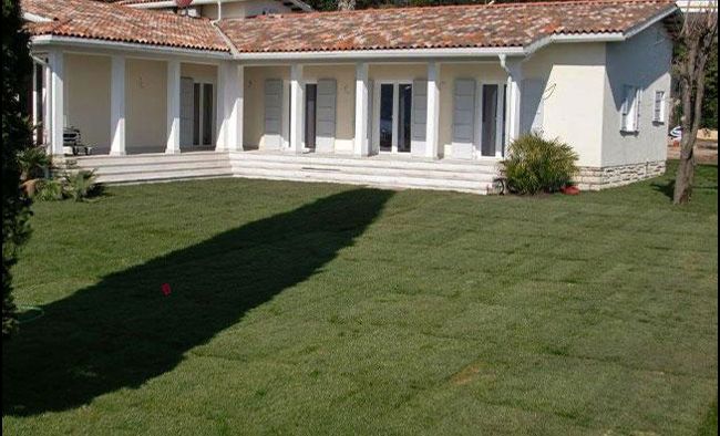 16-3-von-schimmelmann